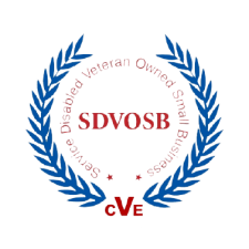 SDVOSB_Logo-removebg-preview 1